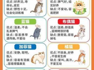 全民关注：猫咪救助行动指南——安装与配置详细说明全攻略