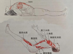 鲤鱼吸水的正确姿势视频教程，让你轻松学会健身动作