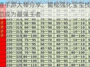 问道手游大神分享：揭秘强化宝宝技巧，助您成为最强王者