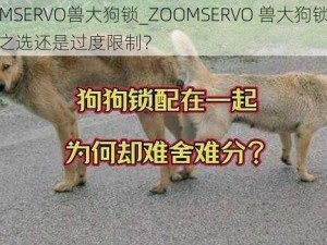 ZOOMSERVO兽大狗锁_ZOOMSERVO 兽大狗锁：是安全之选还是过度限制？