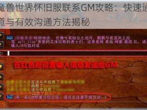 魔兽世界怀旧服联系GM攻略：快速通道与有效沟通方法揭秘