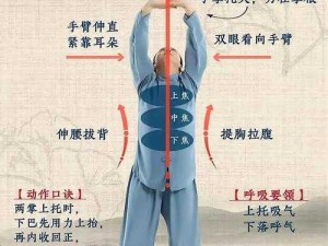 太极熊猫2气功师实战指南：深度解析气功技能与实战使用技巧