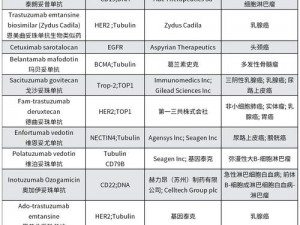 adc年龄确认18岁年龄确认欢迎_adc 年龄确认 18 岁年龄确认欢迎