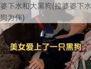 拉婆婆下水和大黑狗(拉婆婆下水，与大黑狗为伴)