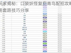 老玩家揭秘：口袋妖怪复刻青鸟配招攻略与实用套路技巧分享