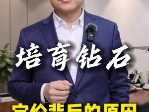 FJ：揭秘实情，购买战机关羽究竟需要多少钻石？详细解读费用构成及背后逻辑