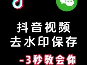 关于音兔如何高效去除水印的探讨与解析