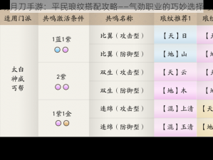 天涯明月刀手游：平民琅纹搭配攻略——气劲职业的巧妙选择与解析