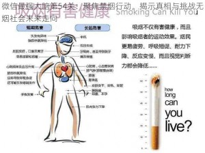 微信最强大脑第54关：聚焦禁烟行动，揭示真相与挑战无烟社会未来走向