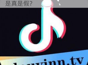 抖抈app免费,抖抈 app 免费？是真是假？