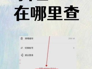 元梦之星UID查看指南：如何轻松找到你的UID信息？