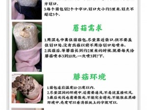 如何获取蘑菇孢子：从实践到成功的指南