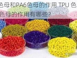 TPU色母和PA6色母的作用 TPU 色母和 PA6 色母的作用有哪些？