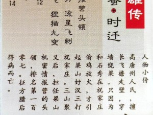 江湖豪客传更名水浒传：英雄传奇的崛起与江湖风云的变迁