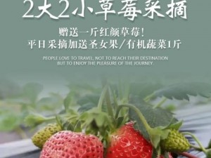 玛娜希斯回响草莓位置揭秘：探寻草莓生长之地，解读玛娜希斯的生态奥秘