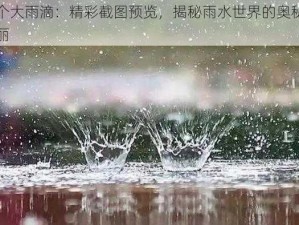 合个大雨滴：精彩截图预览，揭秘雨水世界的奥秘与美丽