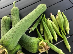 草莓秋葵鸭脖丝瓜榴莲、草莓秋葵鸭脖丝瓜榴莲这几种食材有什么共同点？