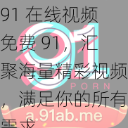 91 在线视频免费 91，汇聚海量精彩视频，满足你的所有需求