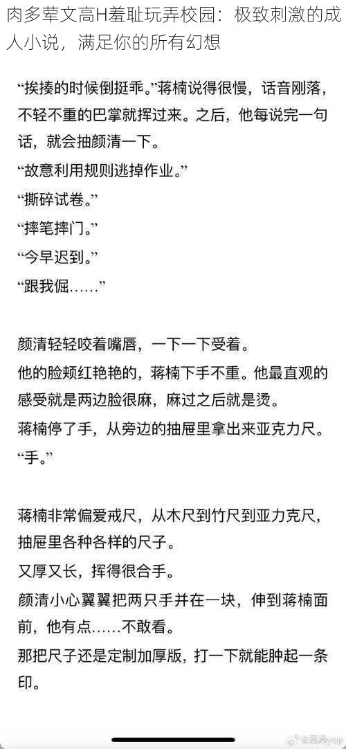 肉多荤文高H羞耻玩弄校园：极致刺激的成人小说，满足你的所有幻想