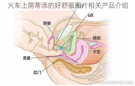 火车上荫蒂添的好舒服图片相关产品介绍