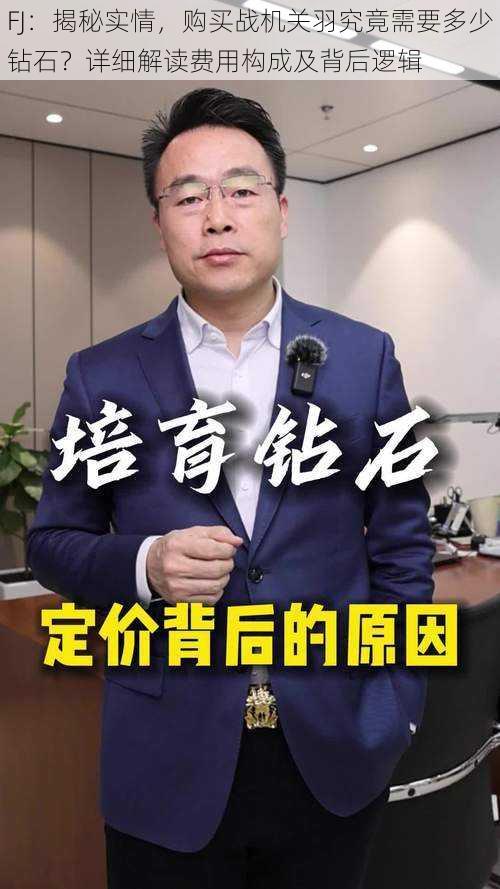 FJ：揭秘实情，购买战机关羽究竟需要多少钻石？详细解读费用构成及背后逻辑