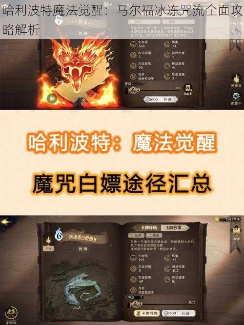 哈利波特魔法觉醒：马尔福冰冻咒流全面攻略解析