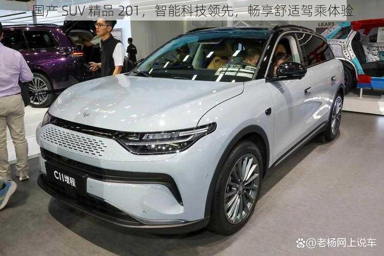 国产 SUV 精品 201，智能科技领先，畅享舒适驾乘体验