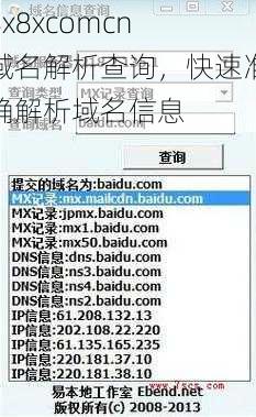 8x8xcomcn 域名解析查询，快速准确解析域名信息