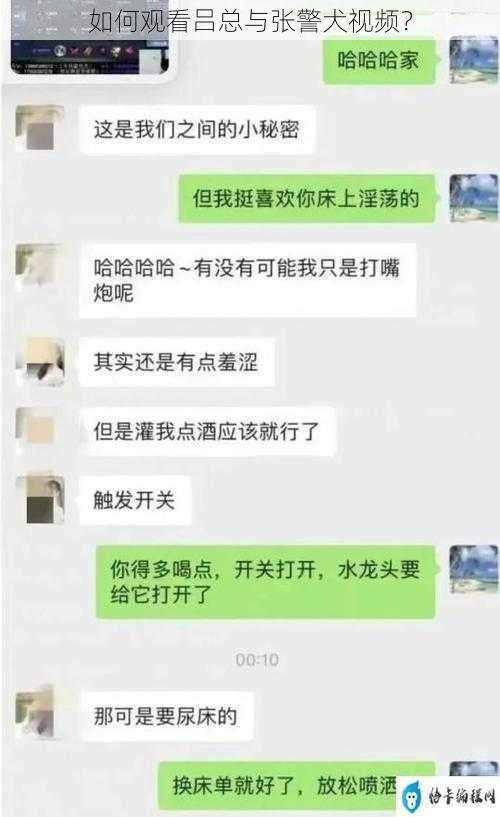 如何观看吕总与张警犬视频？