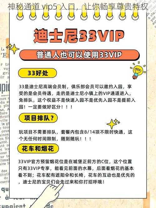 神秘通道 vip5 入口，让你畅享尊贵特权