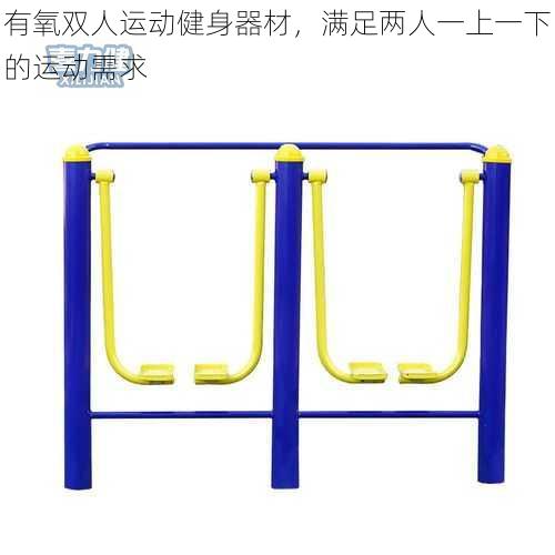 有氧双人运动健身器材，满足两人一上一下的运动需求