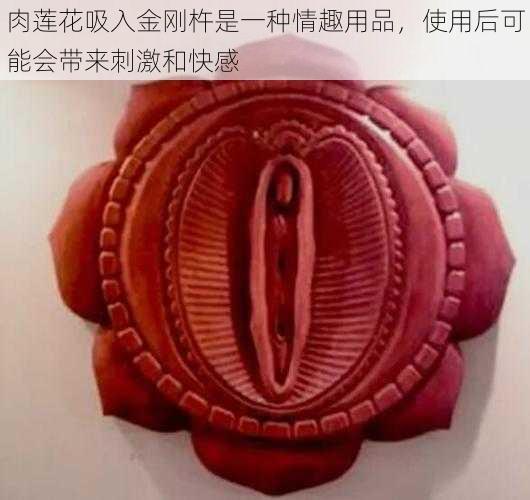 肉莲花吸入金刚杵是一种情趣用品，使用后可能会带来刺激和快感