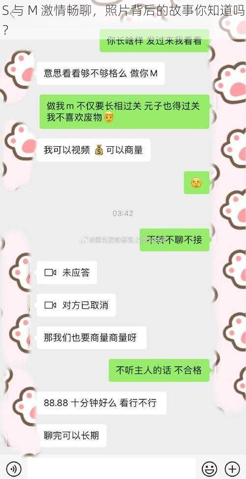 S 与 M 激情畅聊，照片背后的故事你知道吗？