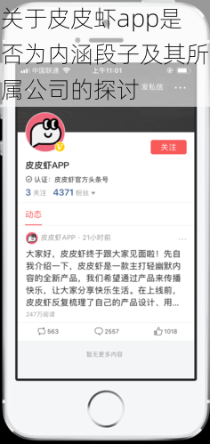 关于皮皮虾app是否为内涵段子及其所属公司的探讨