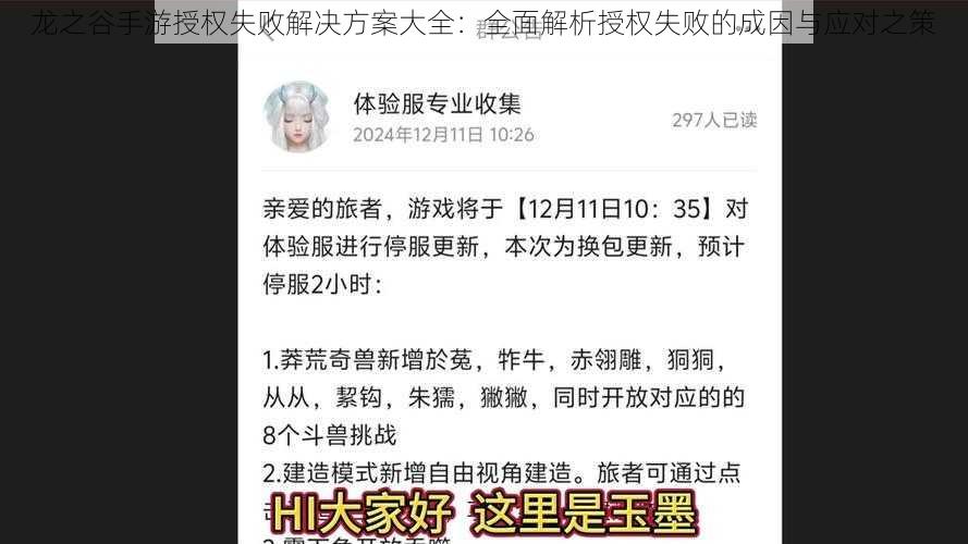 龙之谷手游授权失败解决方案大全：全面解析授权失败的成因与应对之策