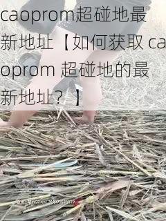 caoprom超碰地最新地址【如何获取 caoprom 超碰地的最新地址？】