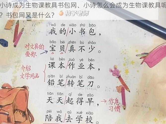 小诗成为生物课教具书包网、小诗怎么会成为生物课教具呢？书包网又是什么？