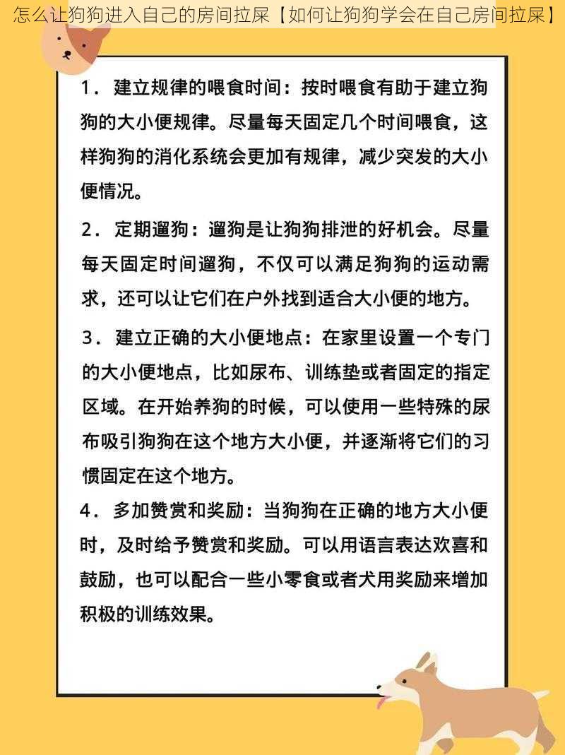 怎么让狗狗进入自己的房间拉屎【如何让狗狗学会在自己房间拉屎】