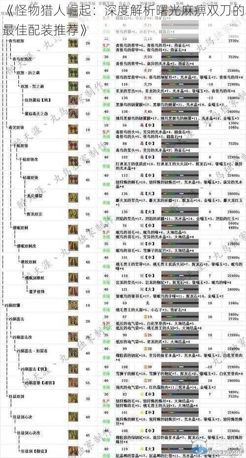 《怪物猎人崛起：深度解析曙光麻痹双刀的最佳配装推荐》