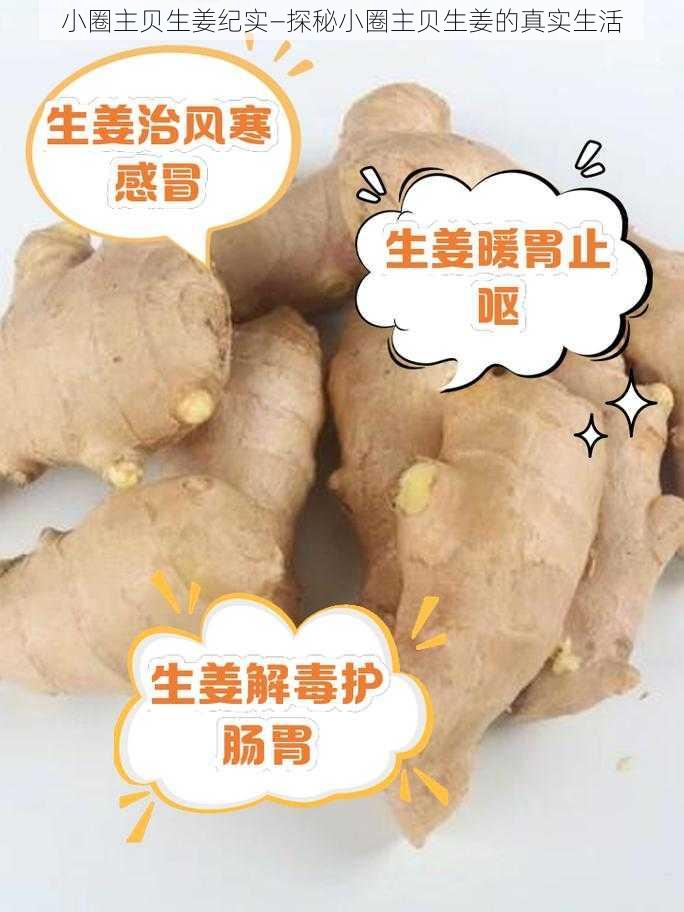 小圈主贝生姜纪实—探秘小圈主贝生姜的真实生活