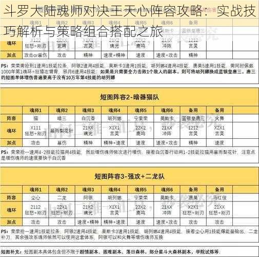 斗罗大陆魂师对决王天心阵容攻略：实战技巧解析与策略组合搭配之旅