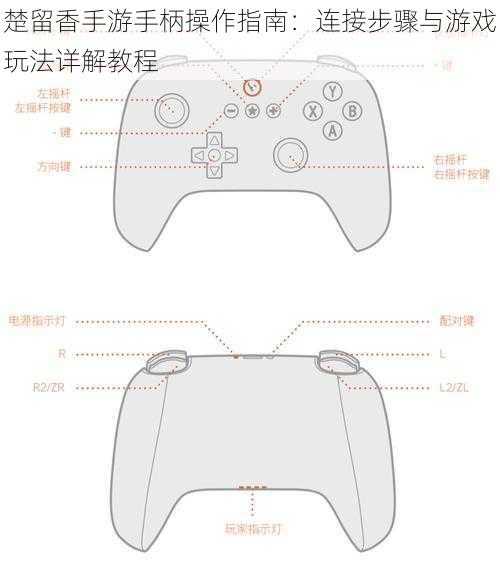 楚留香手游手柄操作指南：连接步骤与游戏玩法详解教程