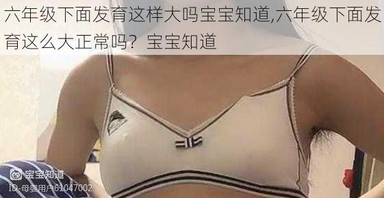 六年级下面发育这样大吗宝宝知道,六年级下面发育这么大正常吗？宝宝知道