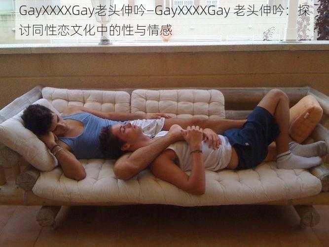 GayXXXXGay老头伸吟—GayXXXXGay 老头伸吟：探讨同性恋文化中的性与情感