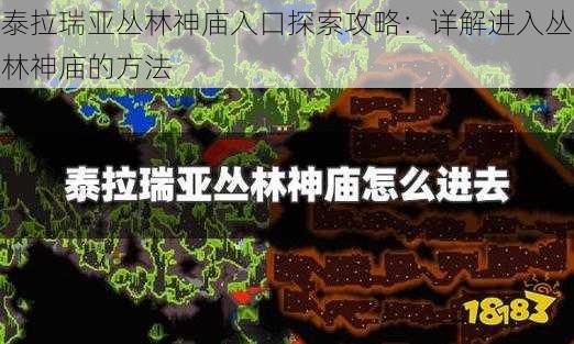 泰拉瑞亚丛林神庙入口探索攻略：详解进入丛林神庙的方法