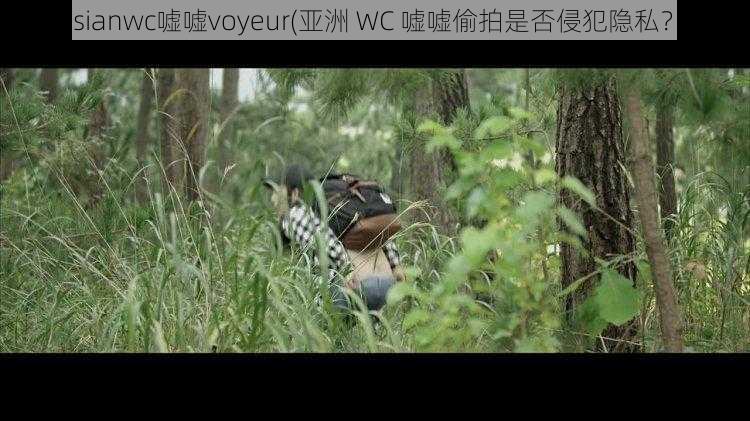 asianwc嘘嘘voyeur(亚洲 WC 嘘嘘偷拍是否侵犯隐私？)