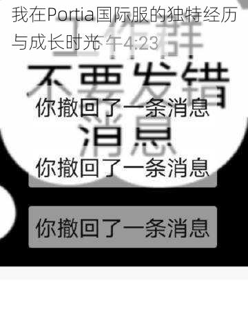 我在Portia国际服的独特经历与成长时光