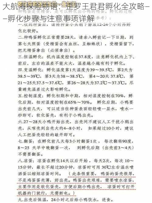 大航海探险物语：歪罗王君君孵化全攻略——孵化步骤与注意事项详解