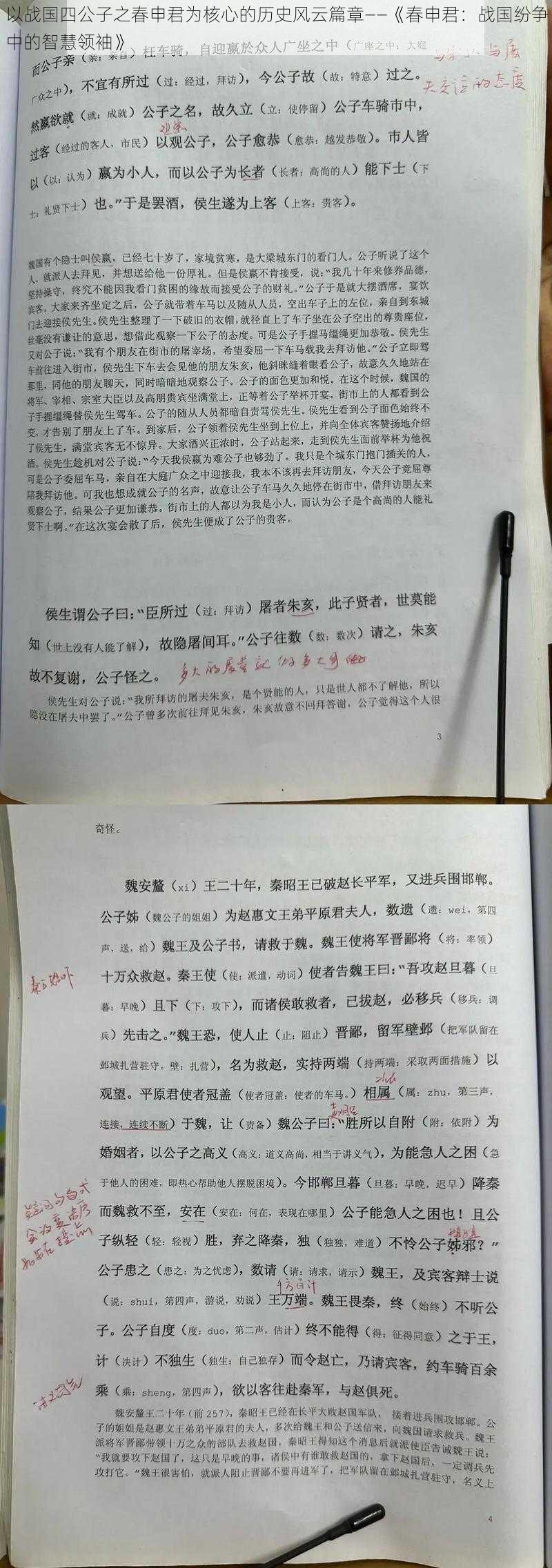 以战国四公子之春申君为核心的历史风云篇章——《春申君：战国纷争中的智慧领袖》