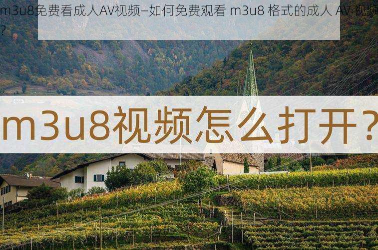 m3u8免费看成人AV视频—如何免费观看 m3u8 格式的成人 AV 视频？